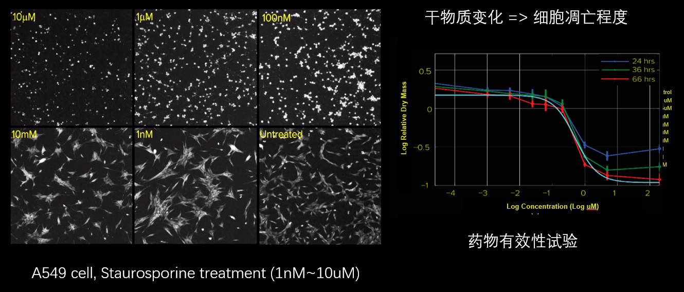 5、細胞毒性分析.png