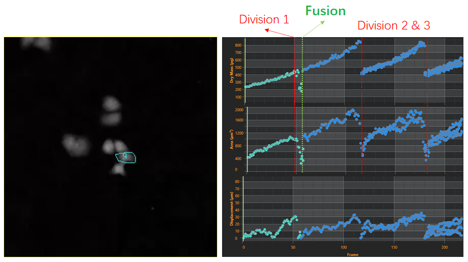 2、細胞譜系研究-2.png